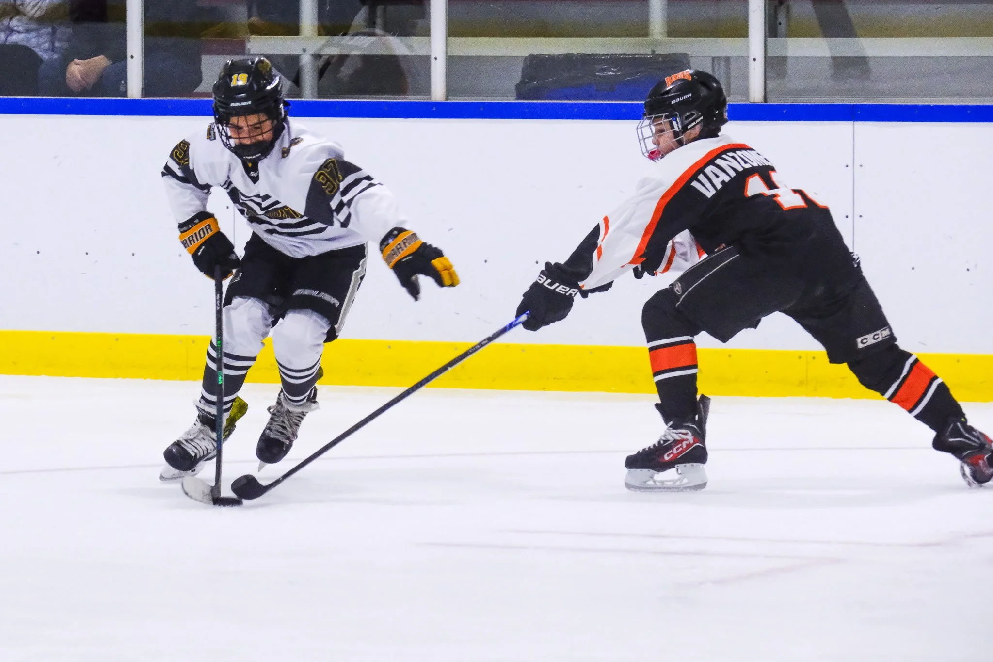 Bulldogs 2027-9521.jpg