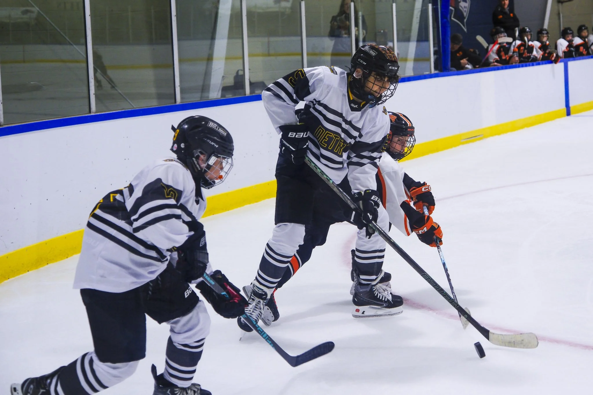 Bulldogs 2027-9806.jpg