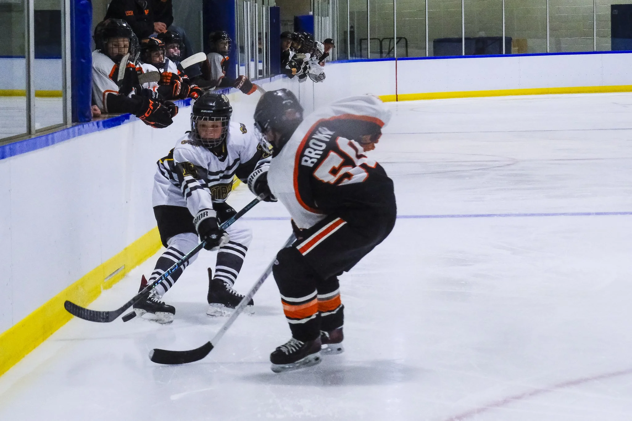 Bulldogs 2027-9262.jpg