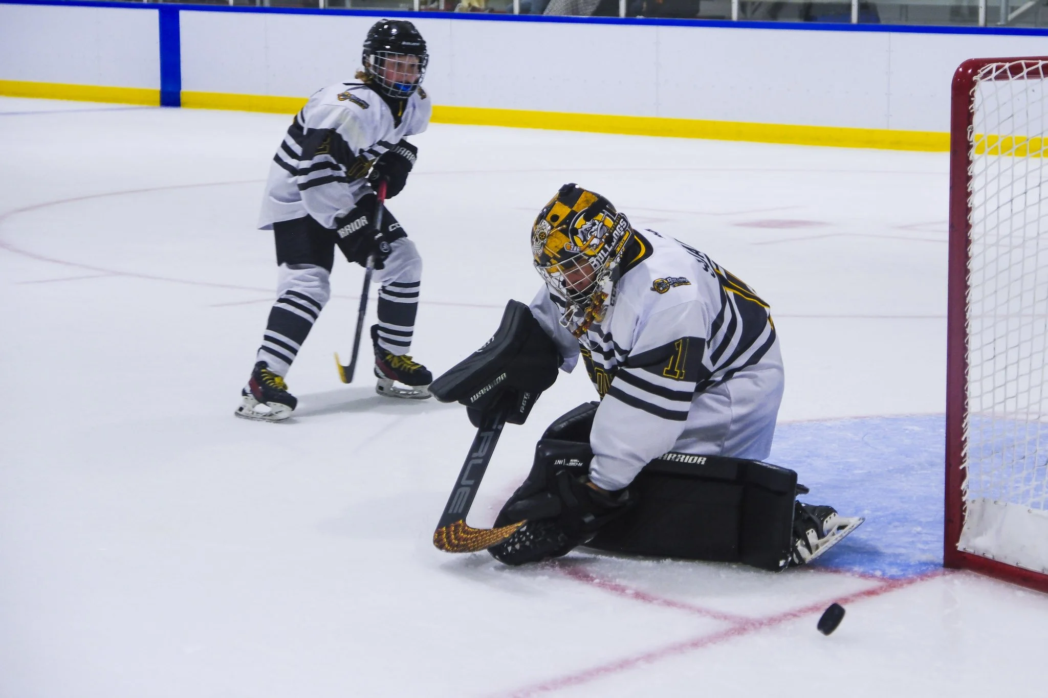 Bulldogs 2027-9876.jpg