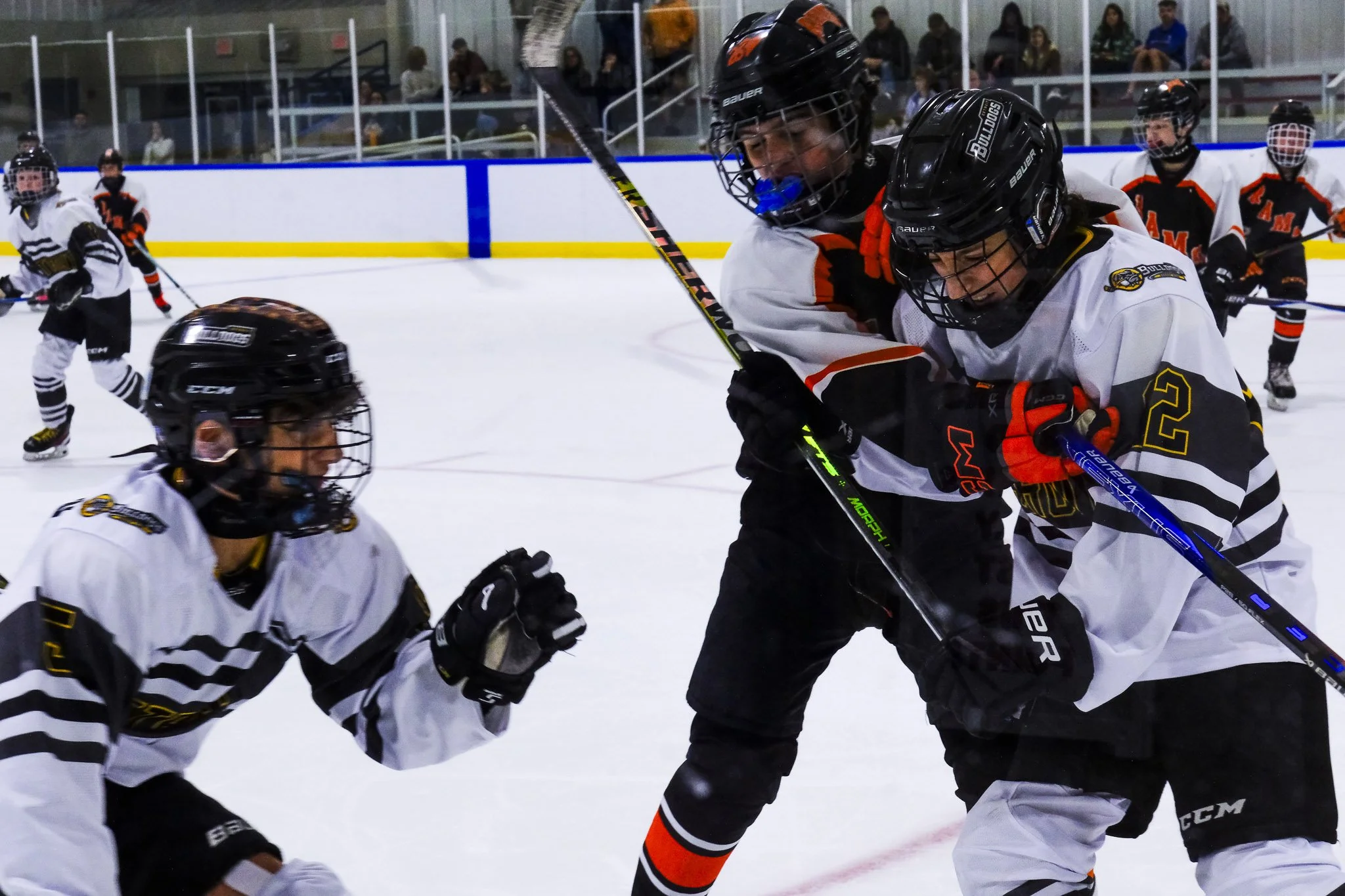 Bulldogs 2027-9654.jpg