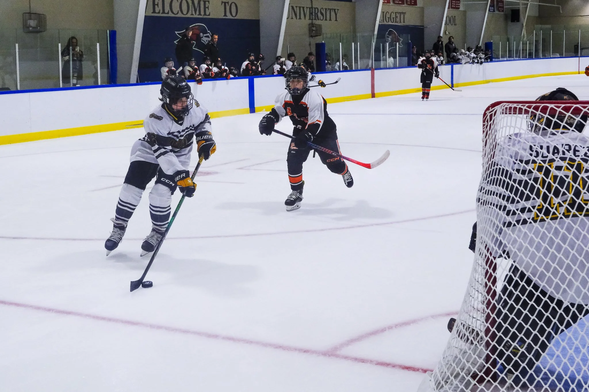 Bulldogs 2027-9985.jpg