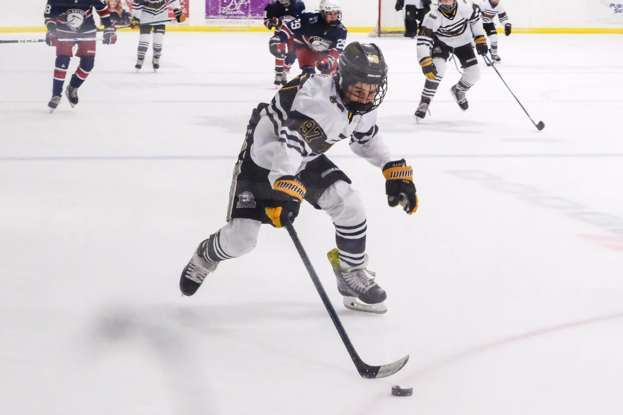 Bulldogs 2027-0815.jpg