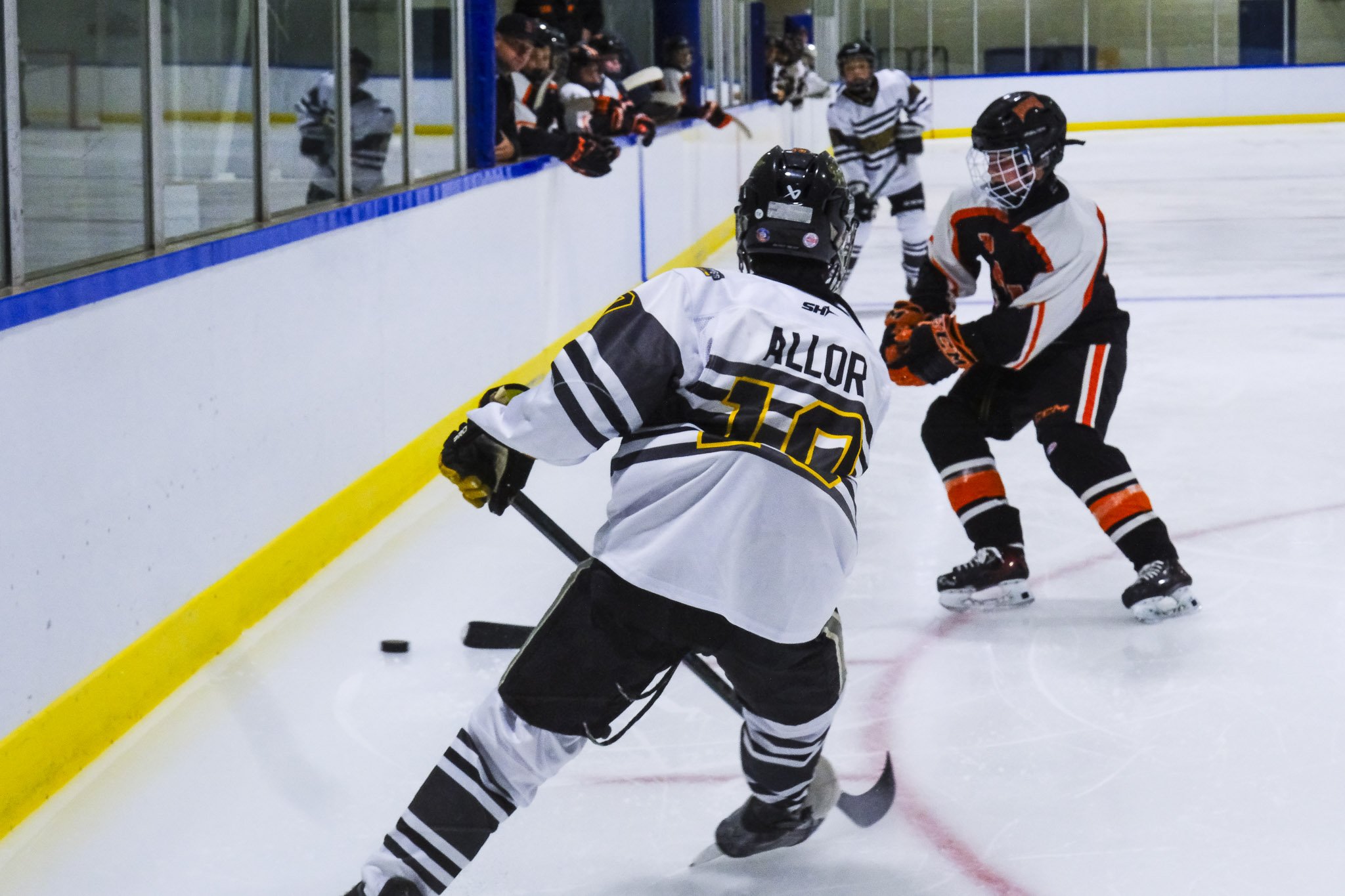 Bulldogs 2027-9254.jpg