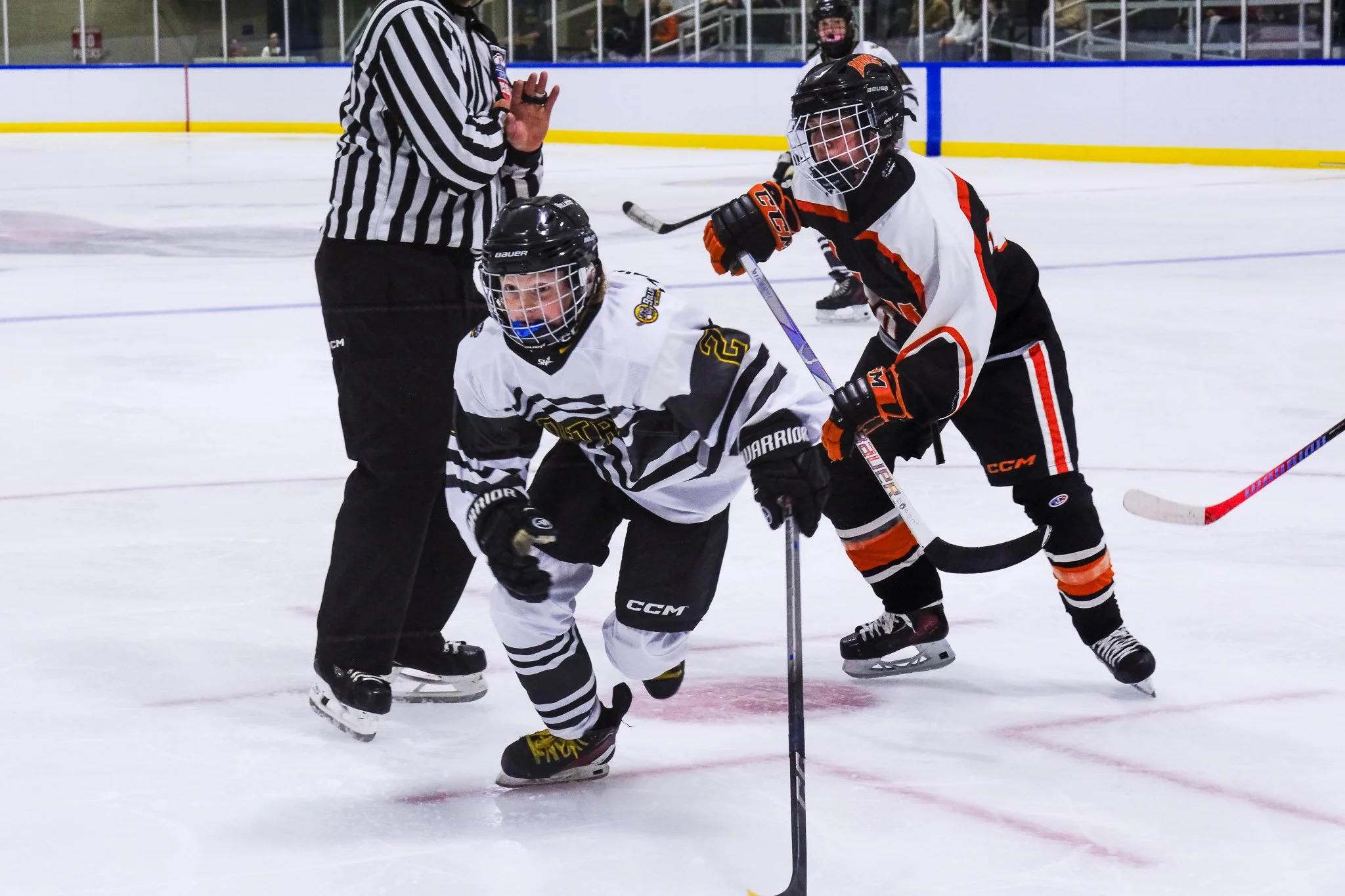 Bulldogs 2027-9401.jpg