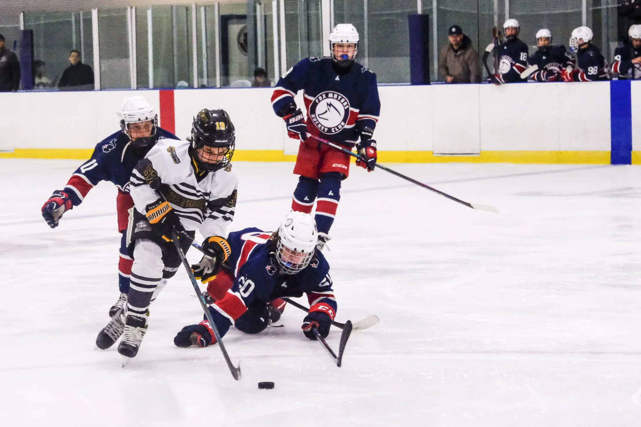 Bulldogs 2027-0225.jpg