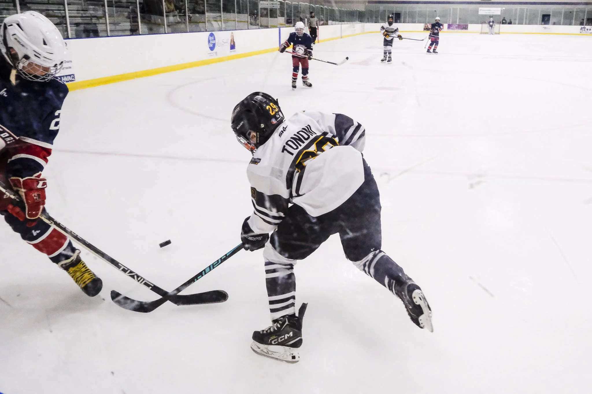 Bulldogs 2027-0485.jpg