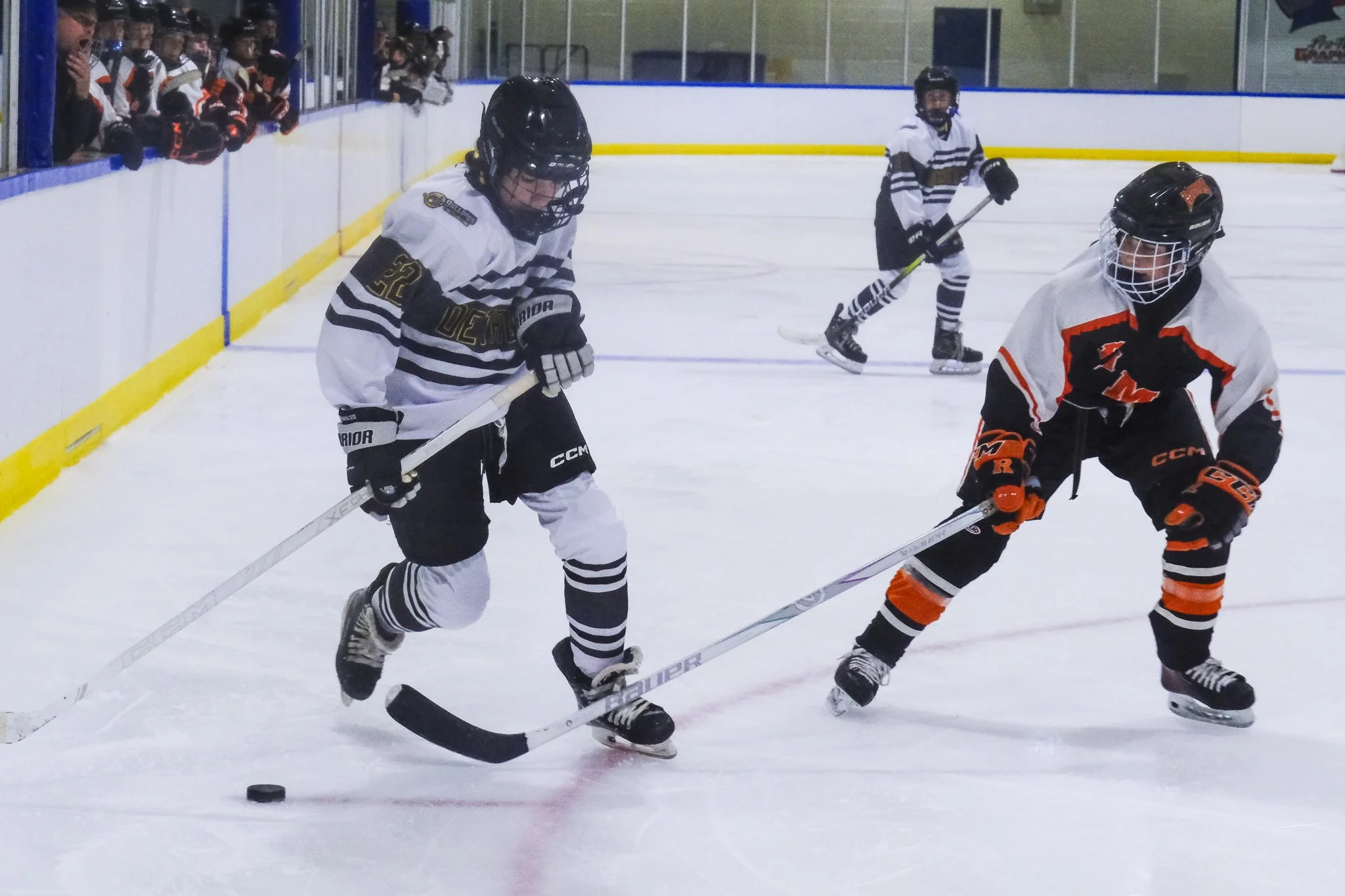 Bulldogs 2027-9417.jpg
