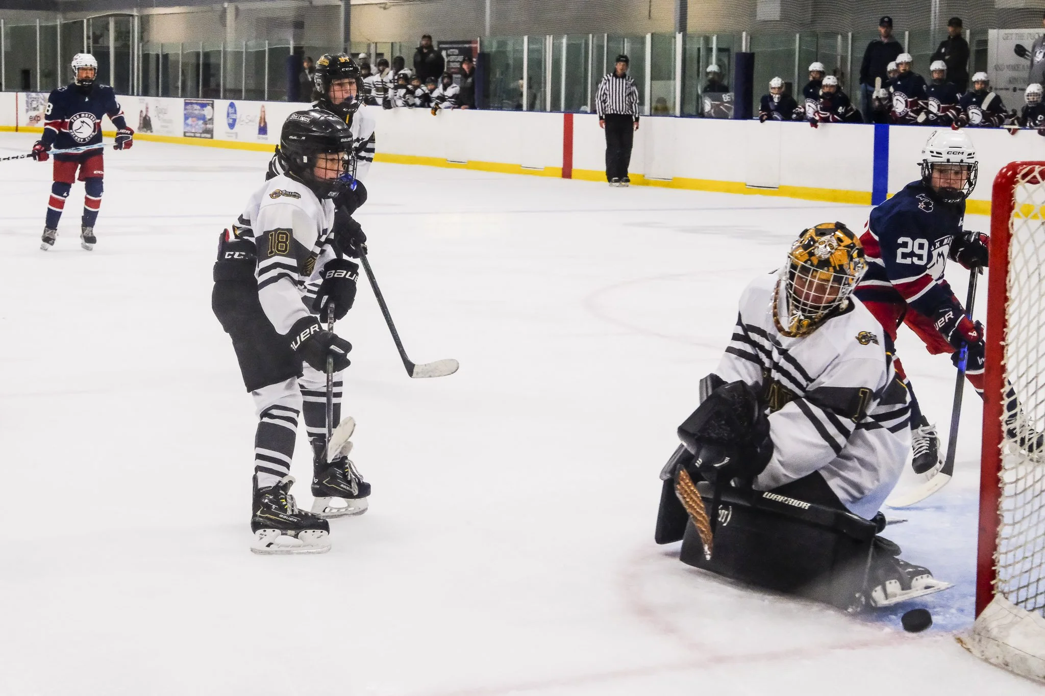 Bulldogs 2027-0423.jpg