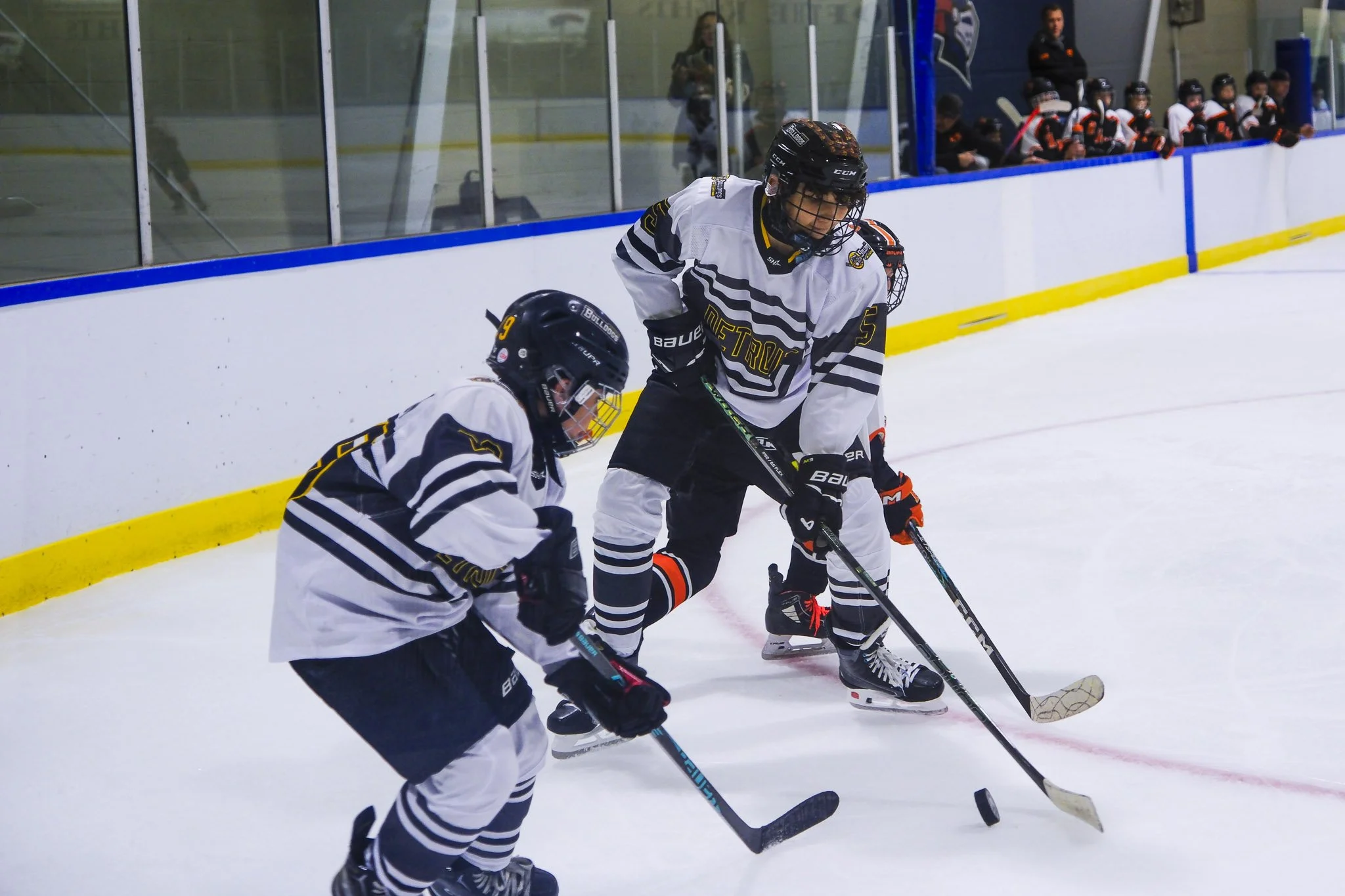 Bulldogs 2027-9808.jpg
