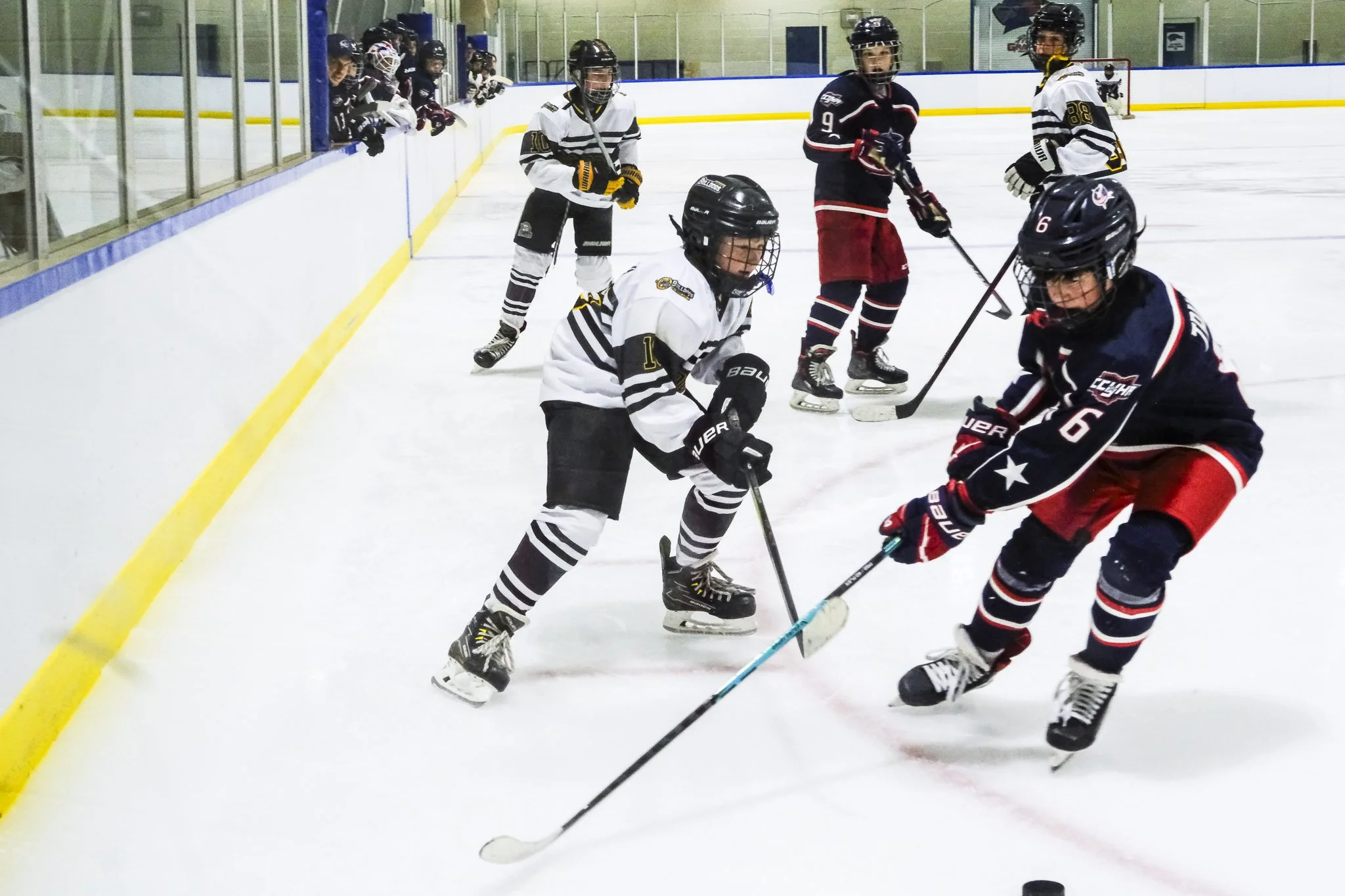 Bulldogs 2027-1332.jpg
