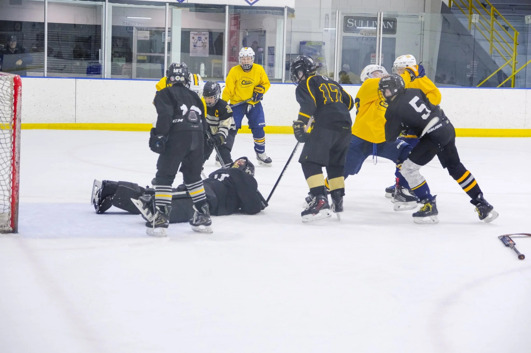 Bulldogs-3436.jpg