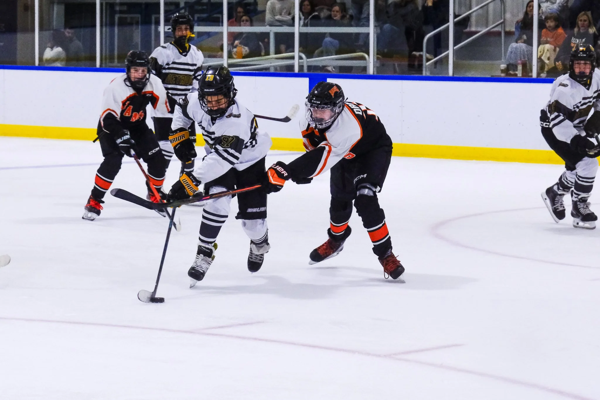 Bulldogs 2027-9622.jpg