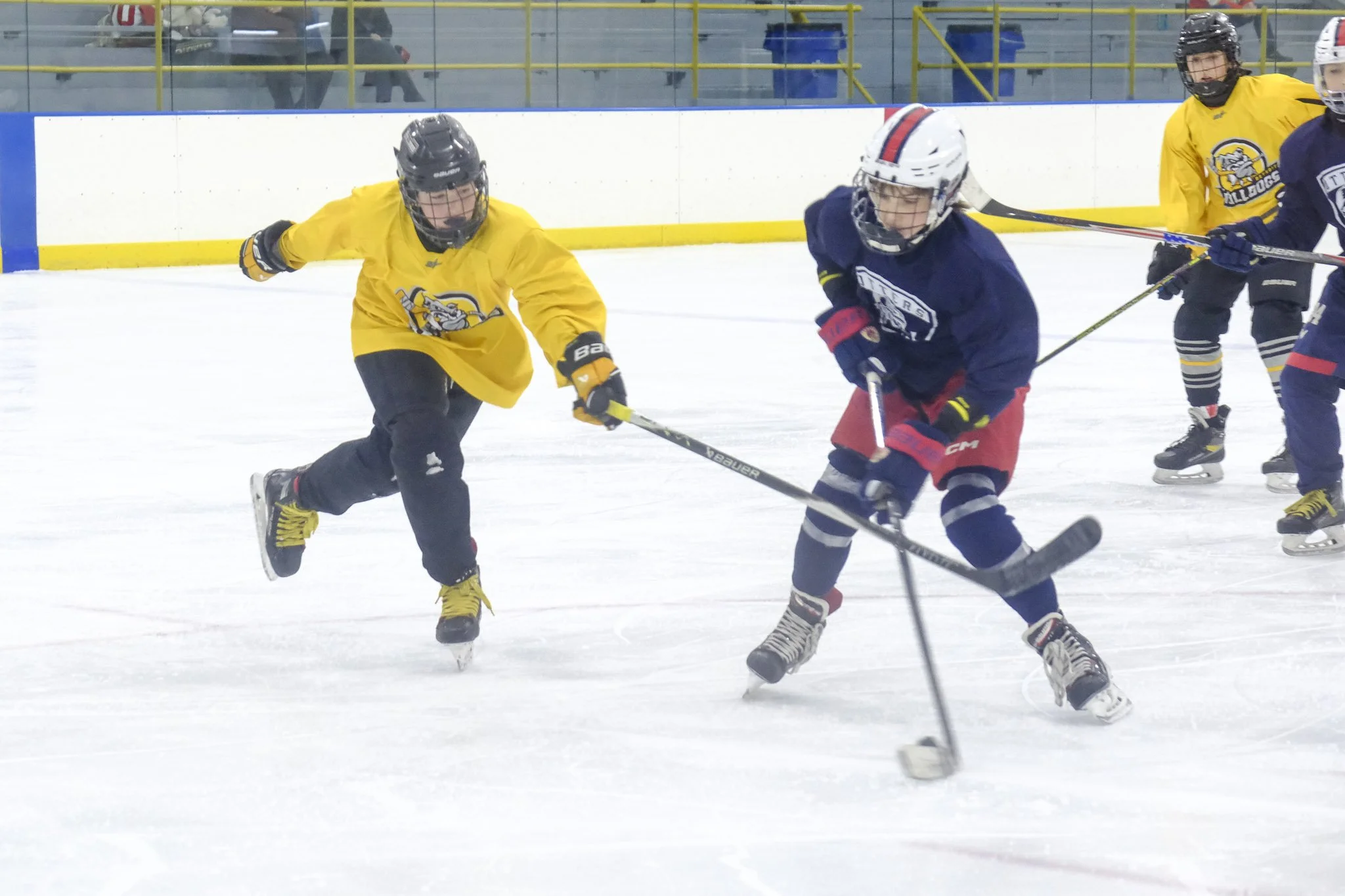 Bulldogs-5370.jpg