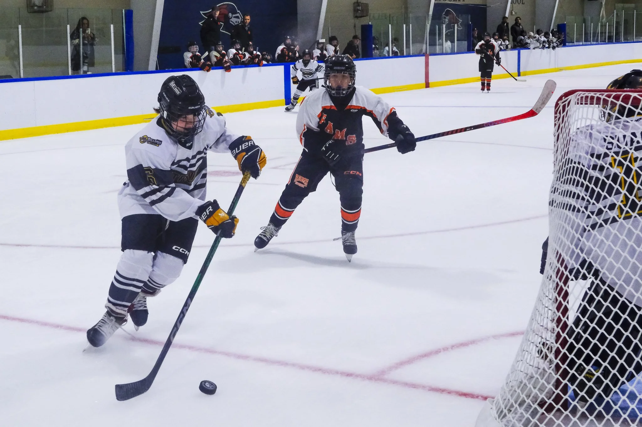 Bulldogs 2027-9990.jpg