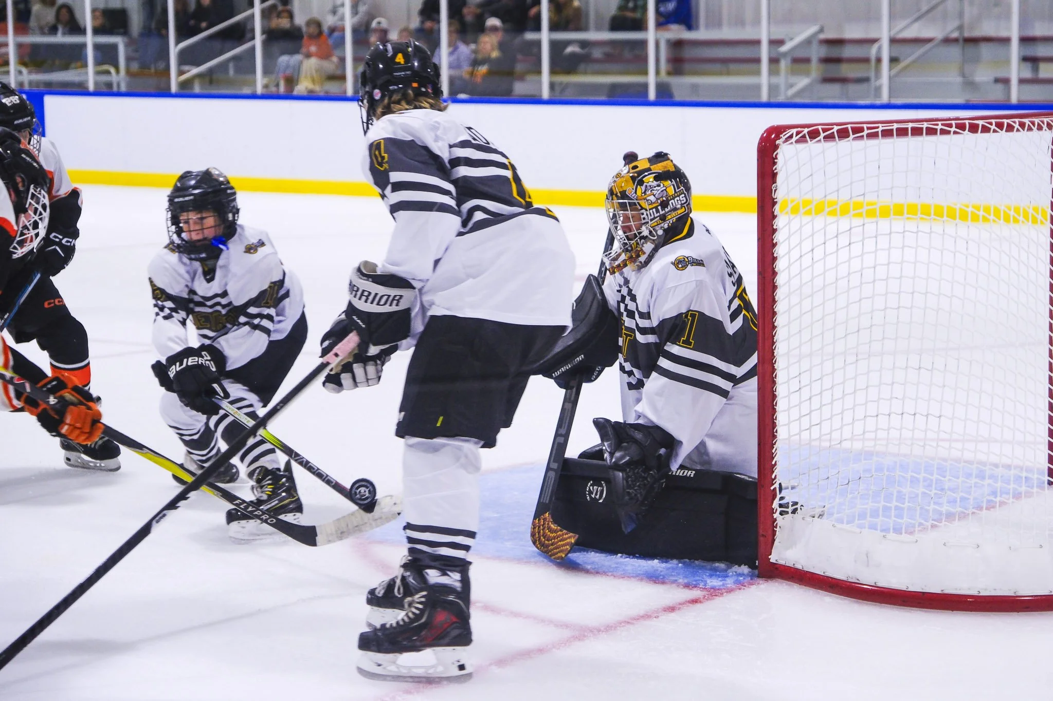 Bulldogs 2027-9856.jpg