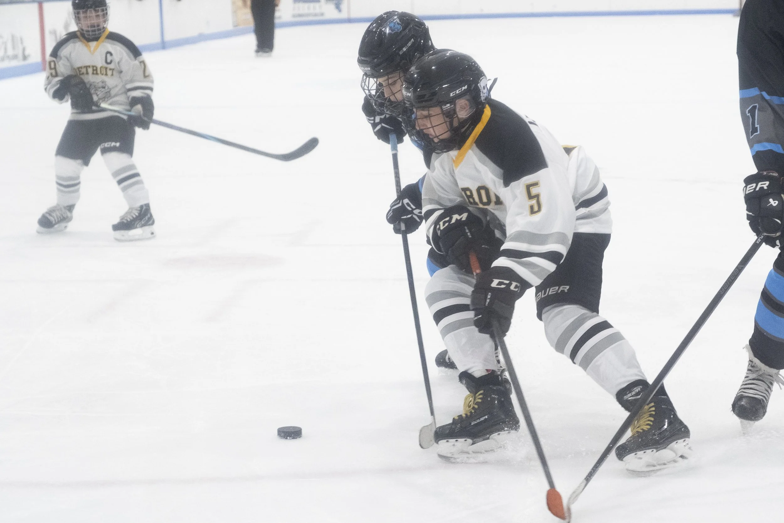 Bulldogs2025-0513.jpg