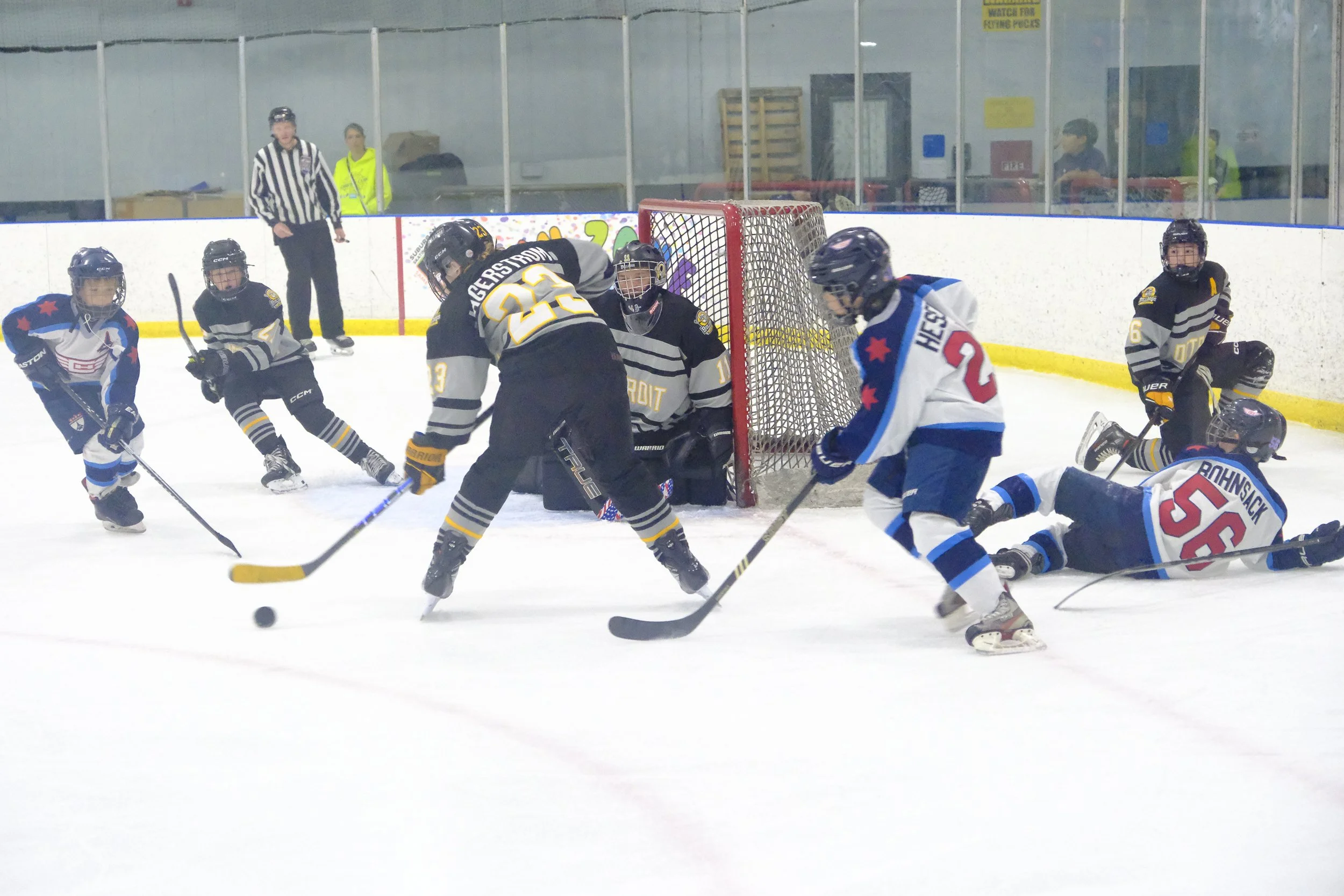 Bulldogs2025-1764.jpg
