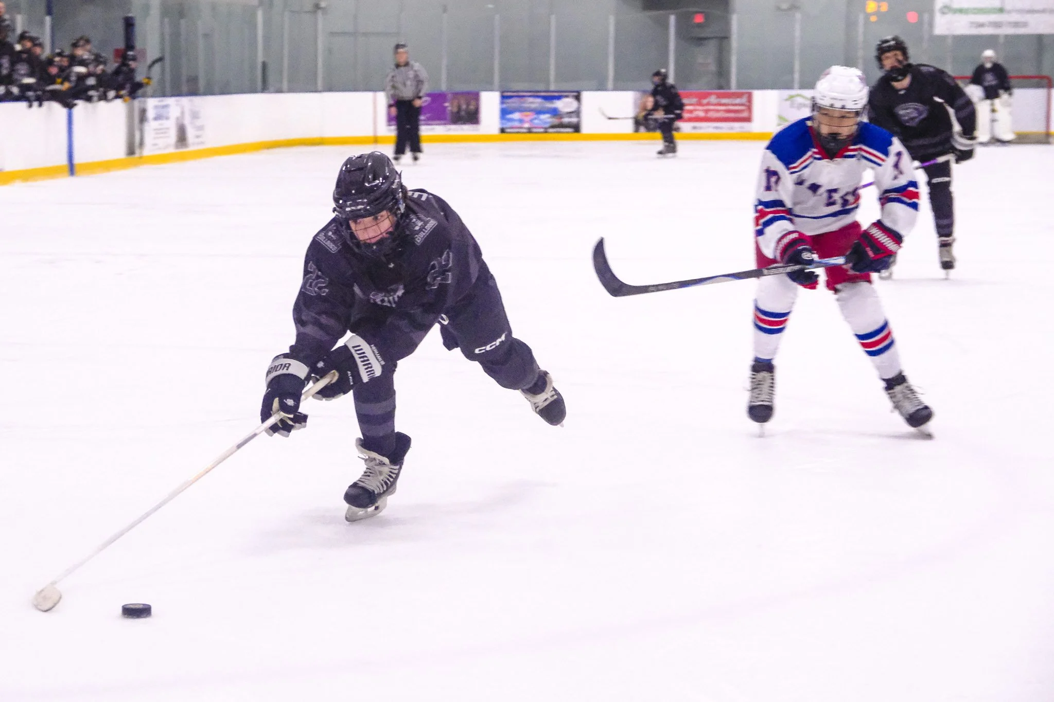 Bulldogs 2027-8635.jpg