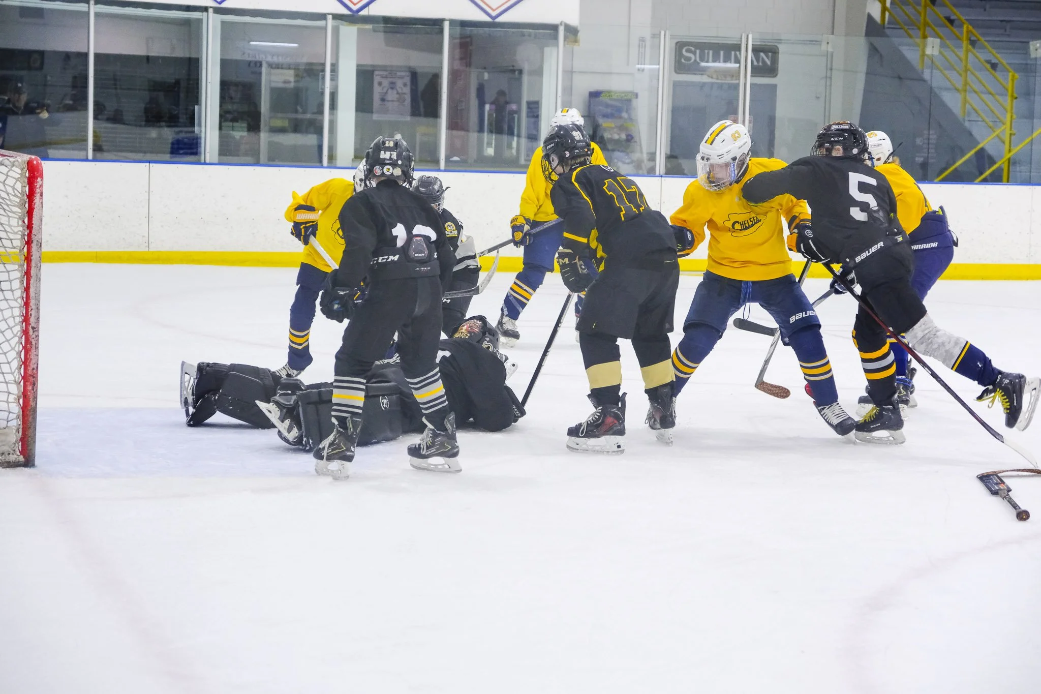 Bulldogs-3433.jpg