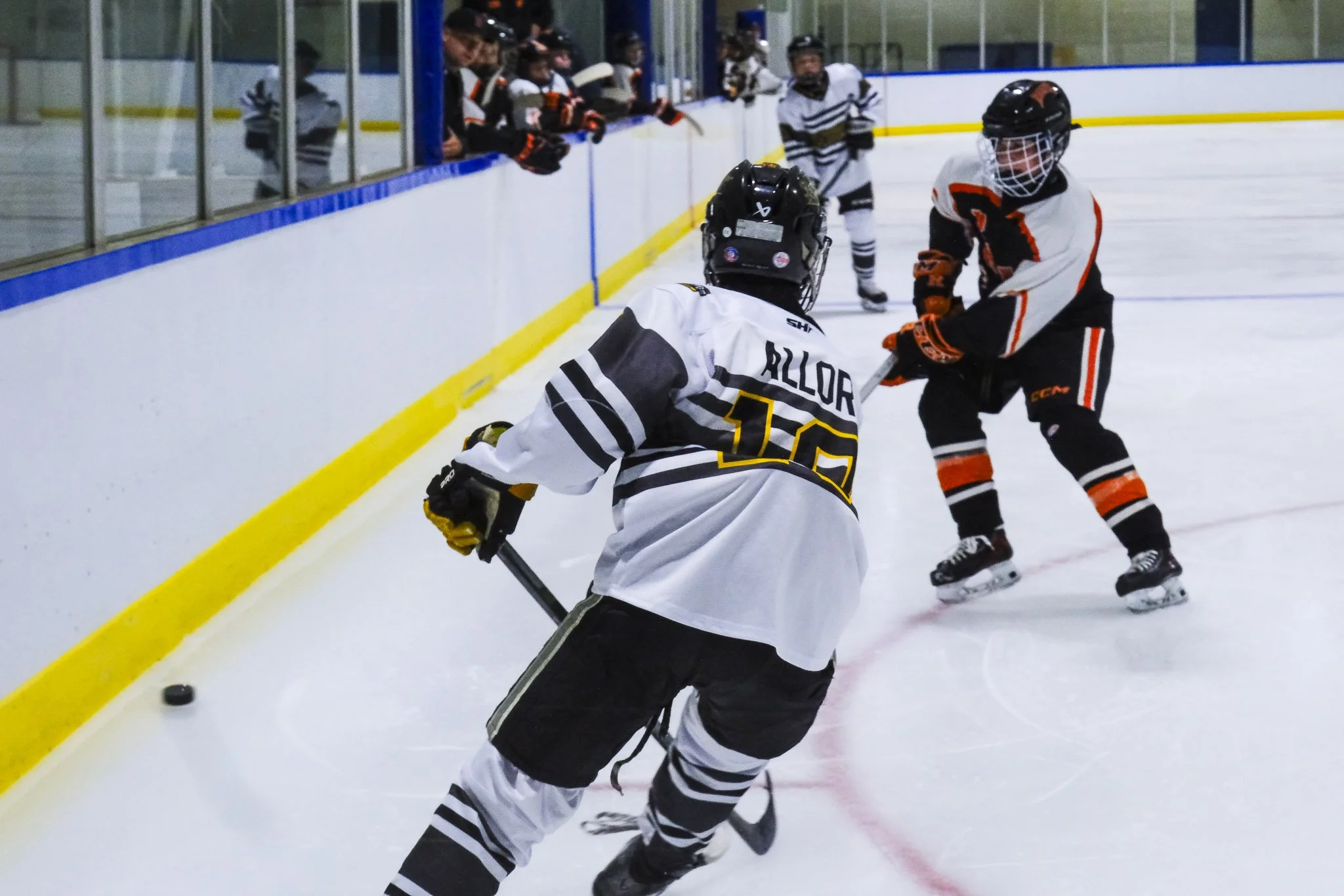 Bulldogs 2027-9253.jpg