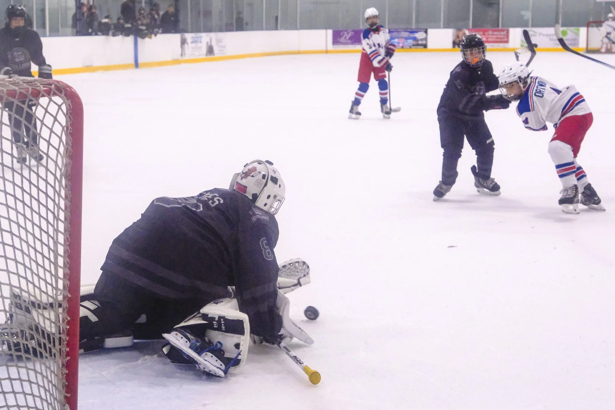 Bulldogs 2027-8787.jpg