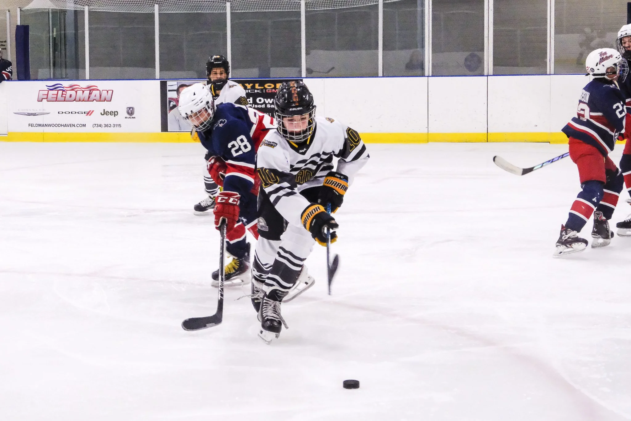 Bulldogs 2027-0325.jpg