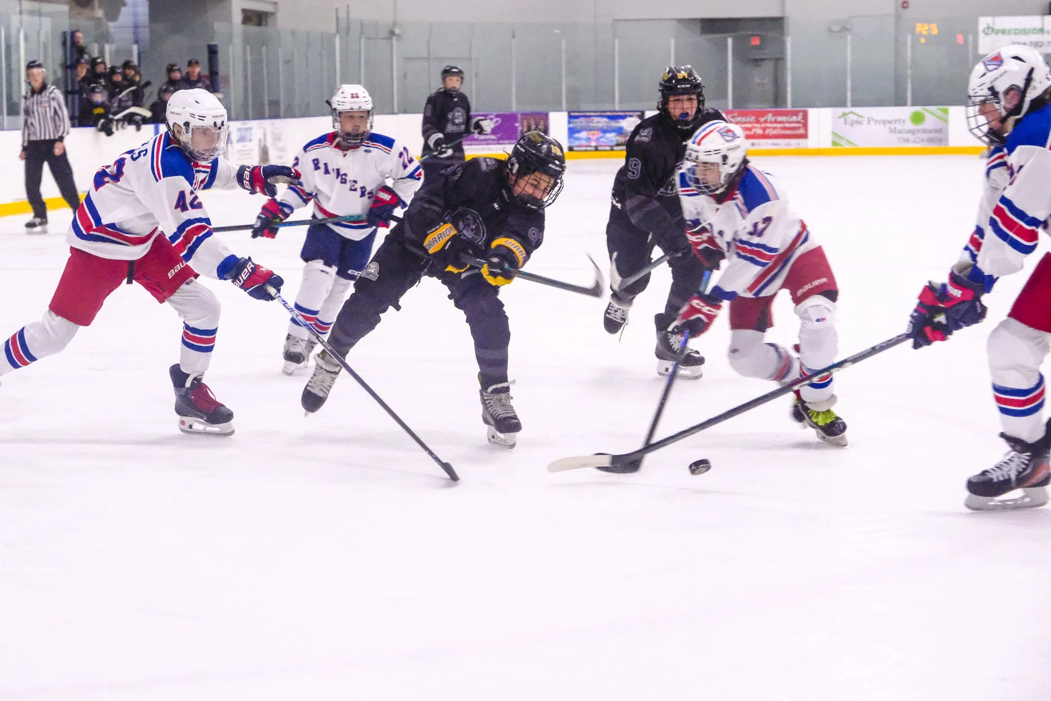 Bulldogs 2027-8612.jpg