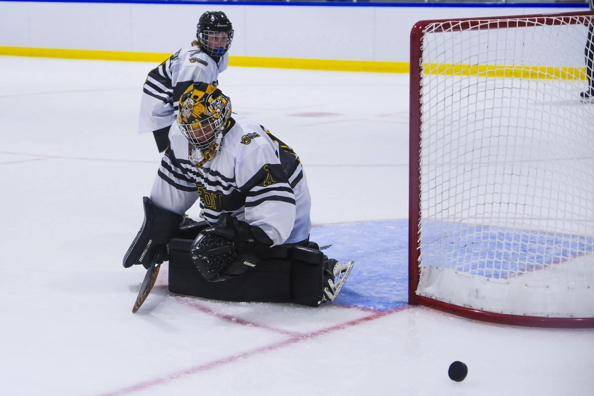 Bulldogs 2027-9879.jpg
