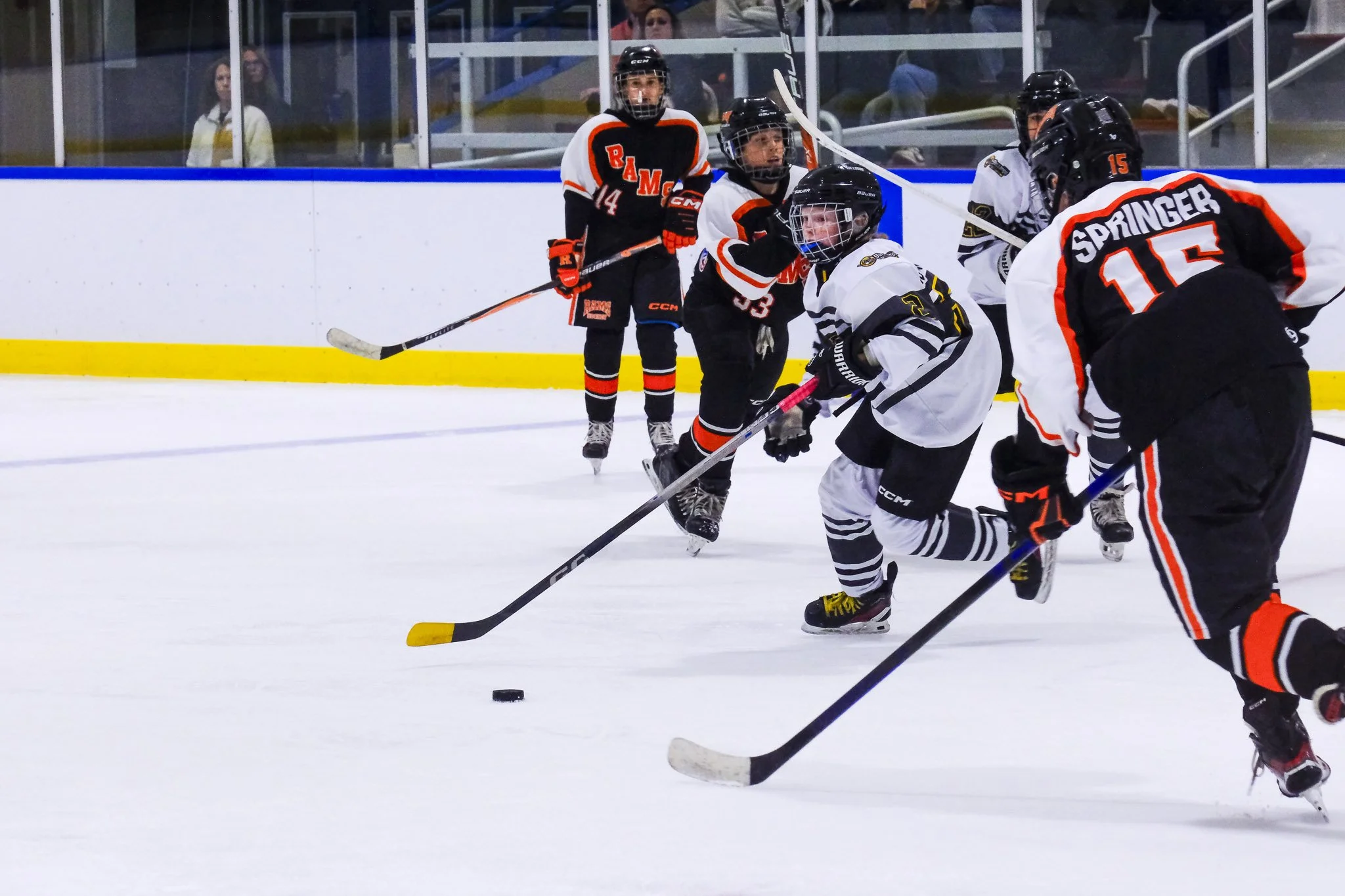 Bulldogs 2027-9588.jpg
