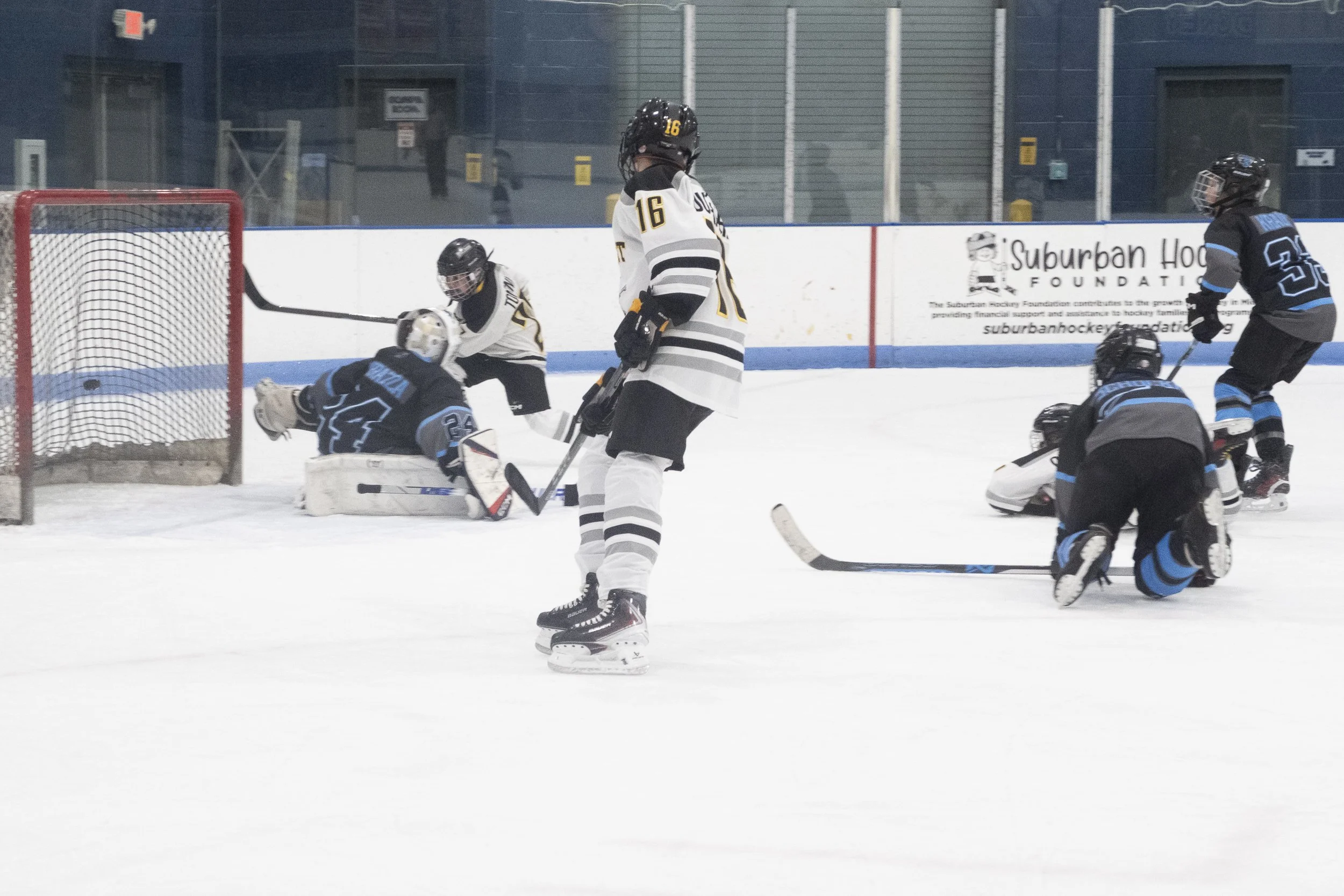 Bulldogs2025-0613.jpg