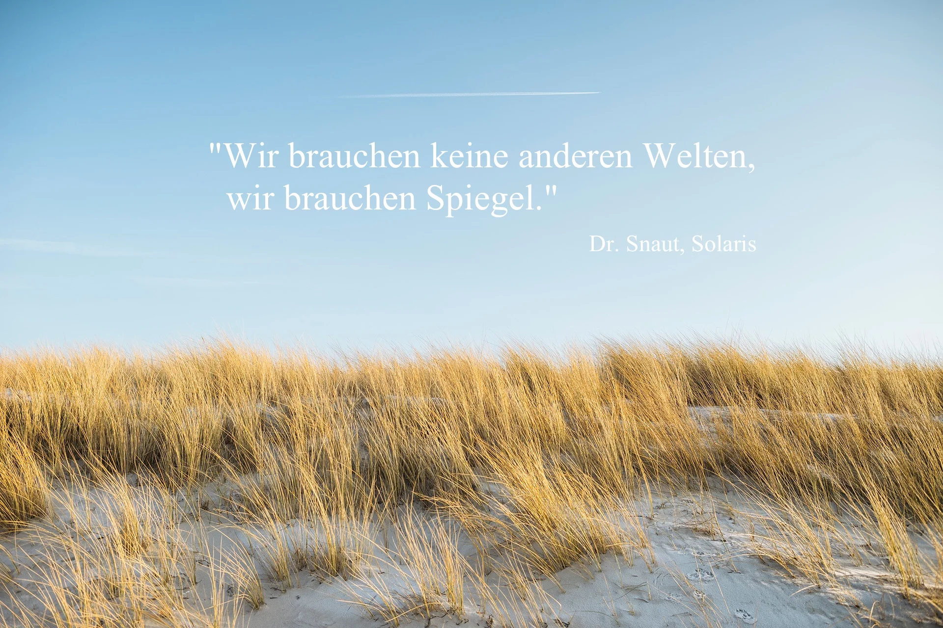 Quelle: Alexander Rentsch , 2017