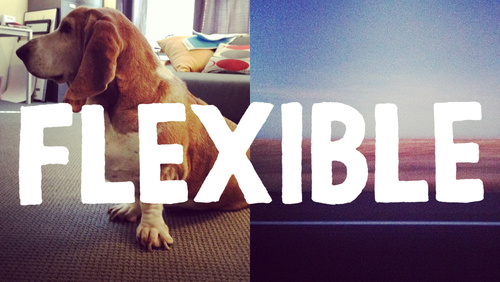 flexible_v01-1.jpg
