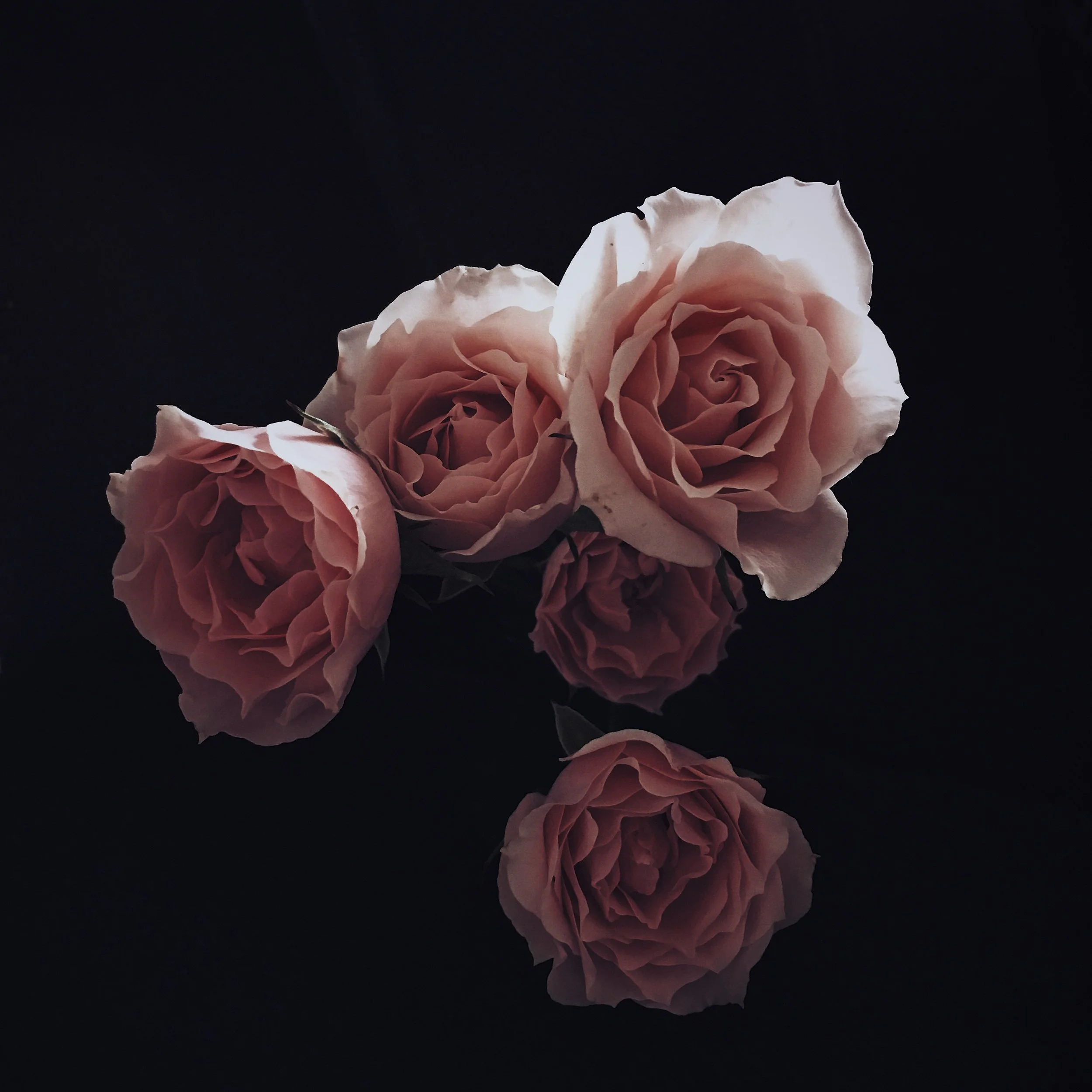 2D6AE075-03BE-4B67-8CF1-C99D81F1C3B2.jpg