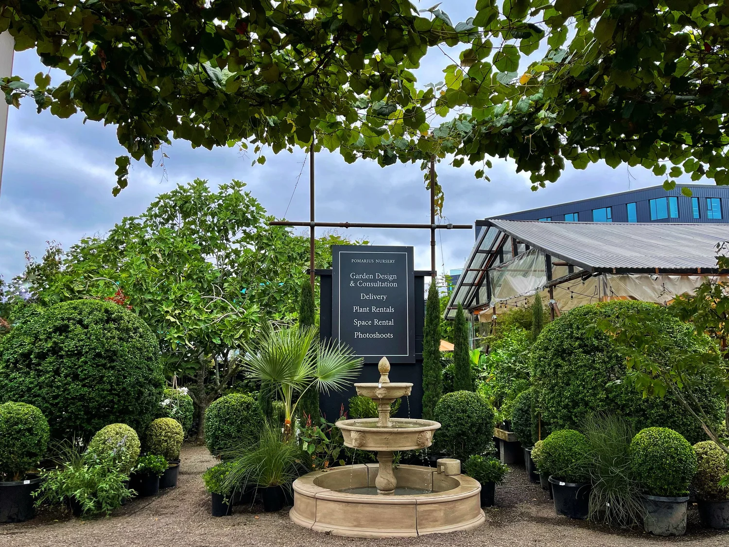 Plants with Character | Since 2002