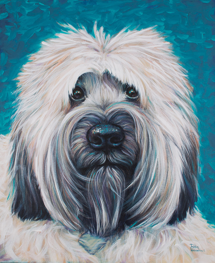 Charlie-Soft-Coated Wheaten Terrier