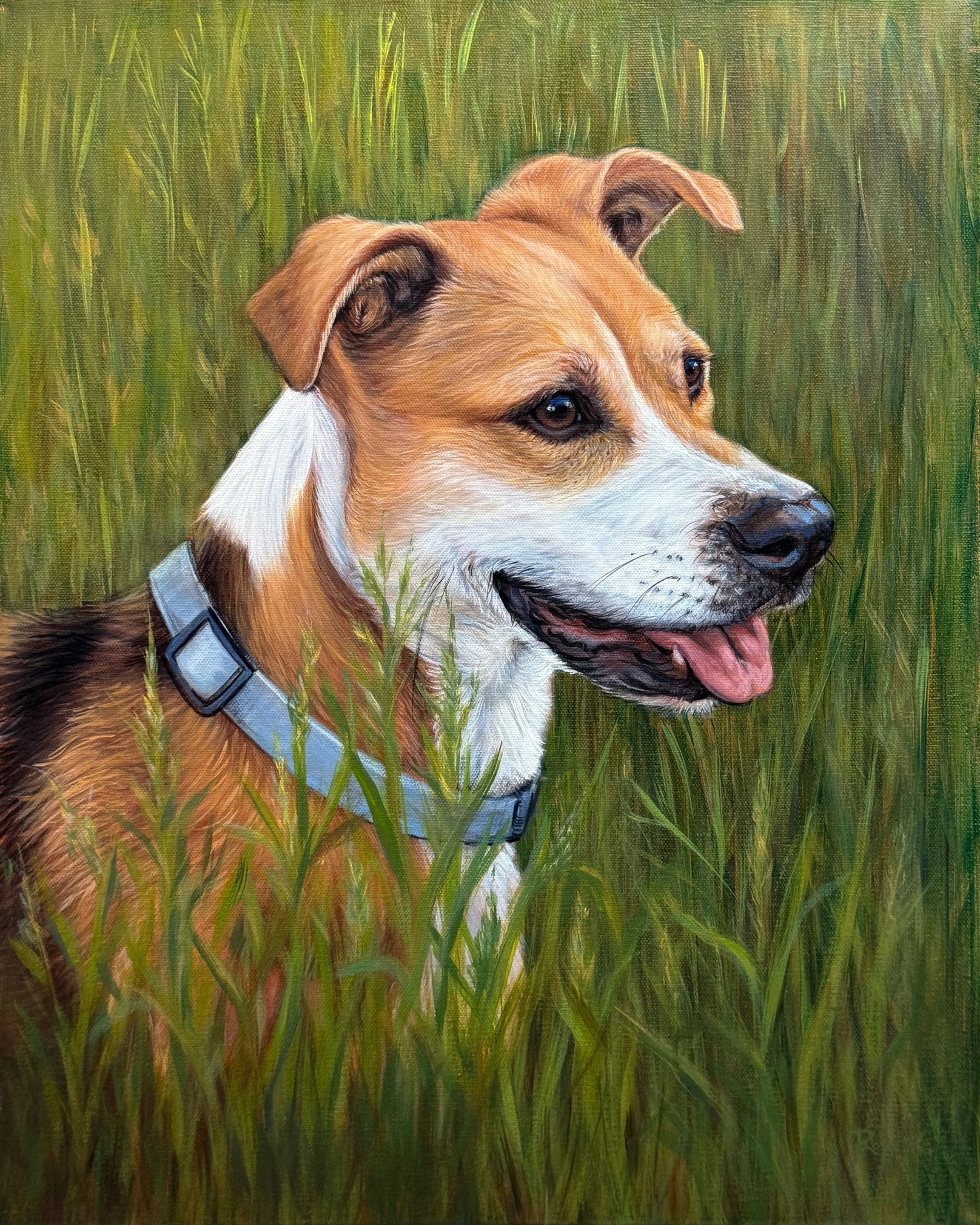 Custom hand painted Bird Hunting dog pet portrait on canvas