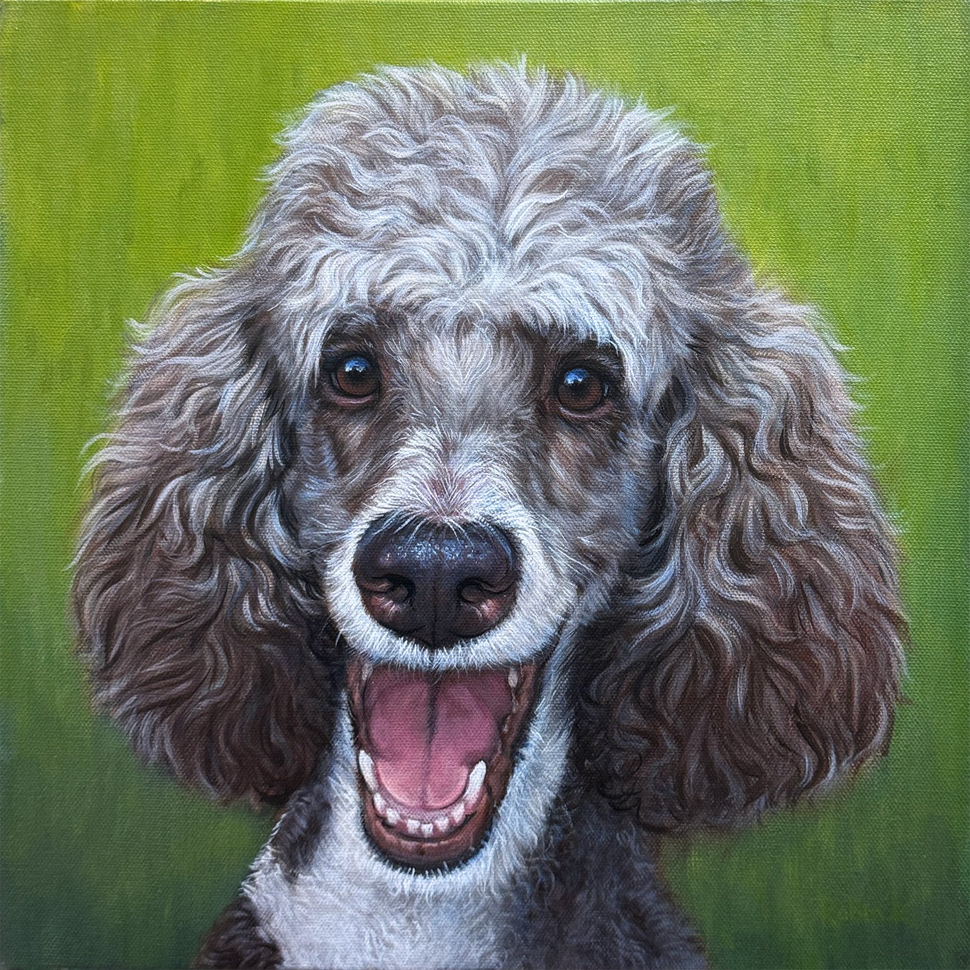 Custom hand painted pet portrait of Parti Poodle on gallery canvas