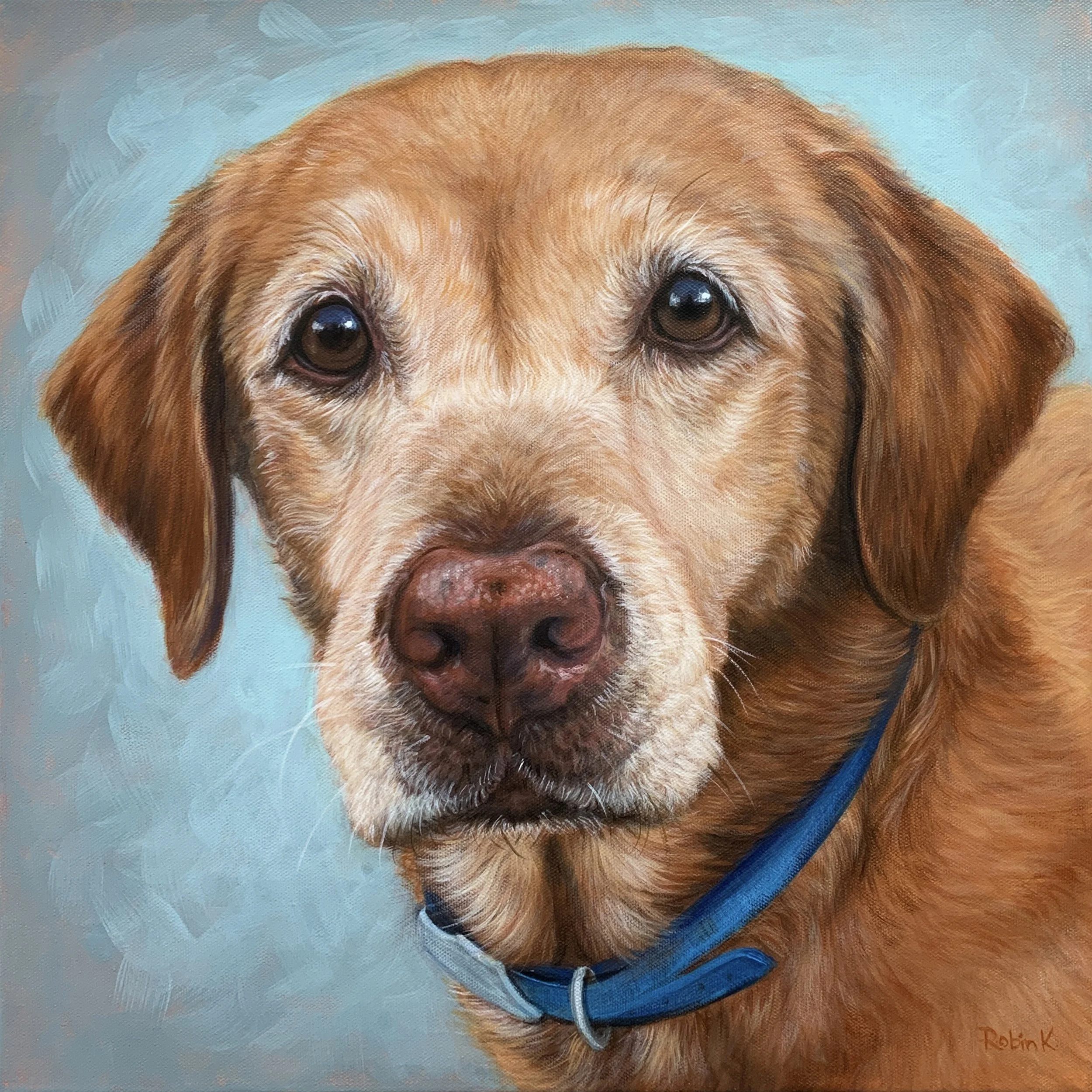 Hand Painted Older Labrador on canvas. Yellow lab