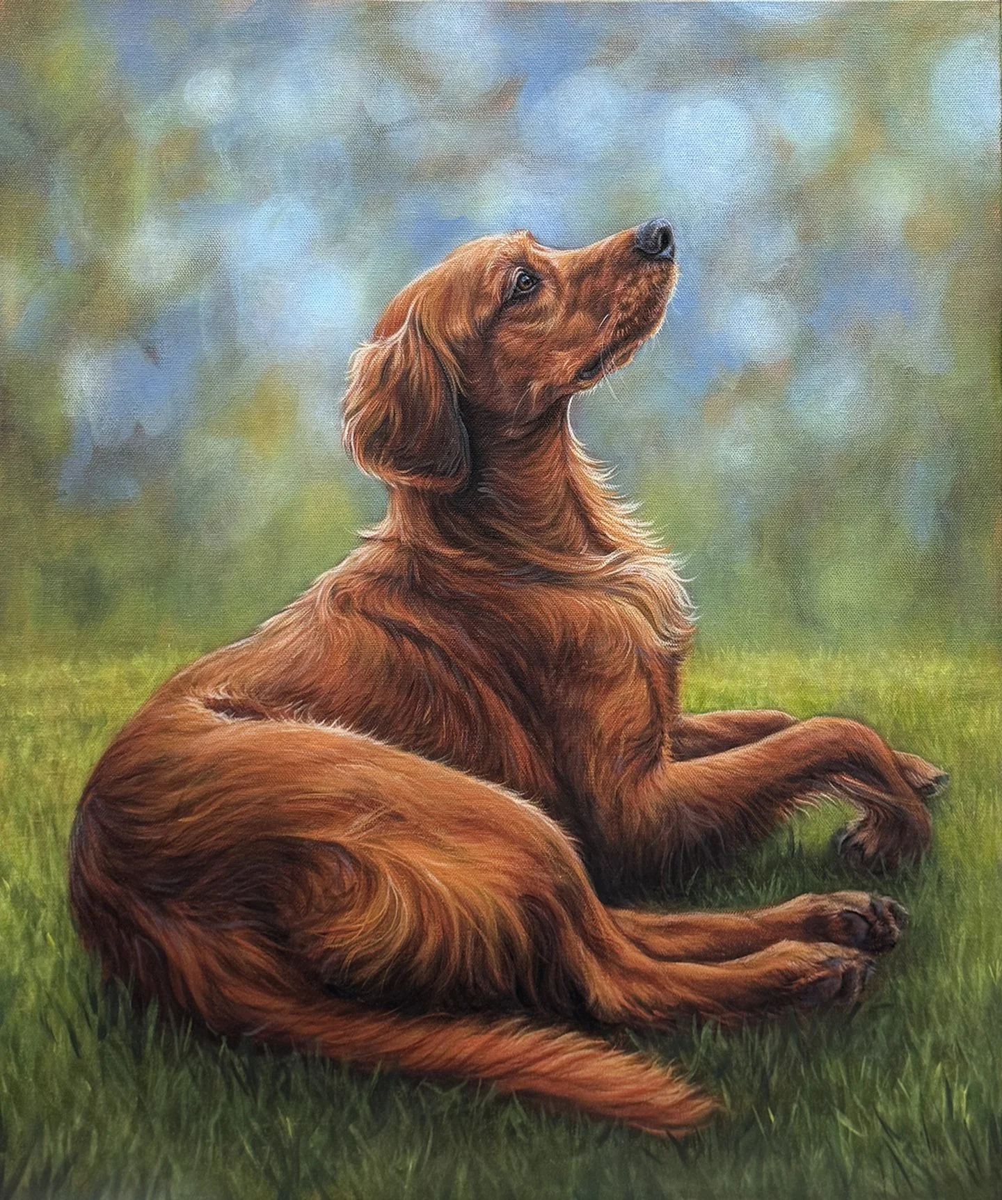 Golden Irish Golden Setter portrait painting