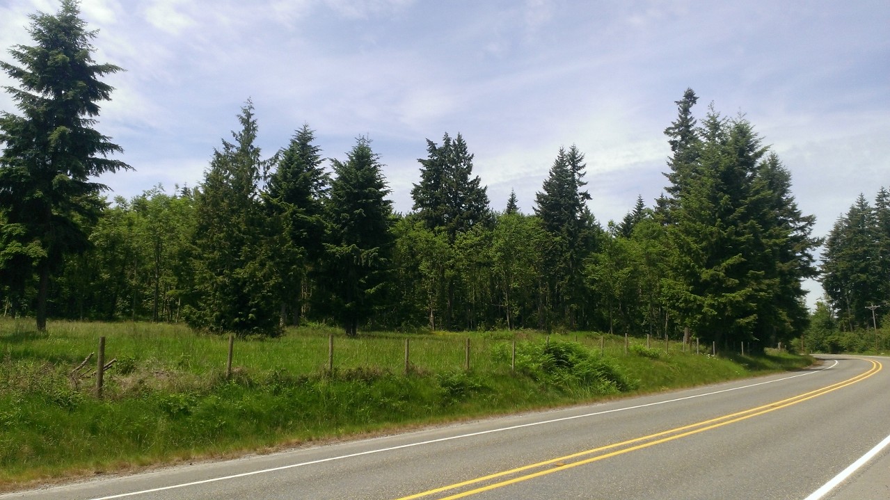WP_20130605_007.jpg