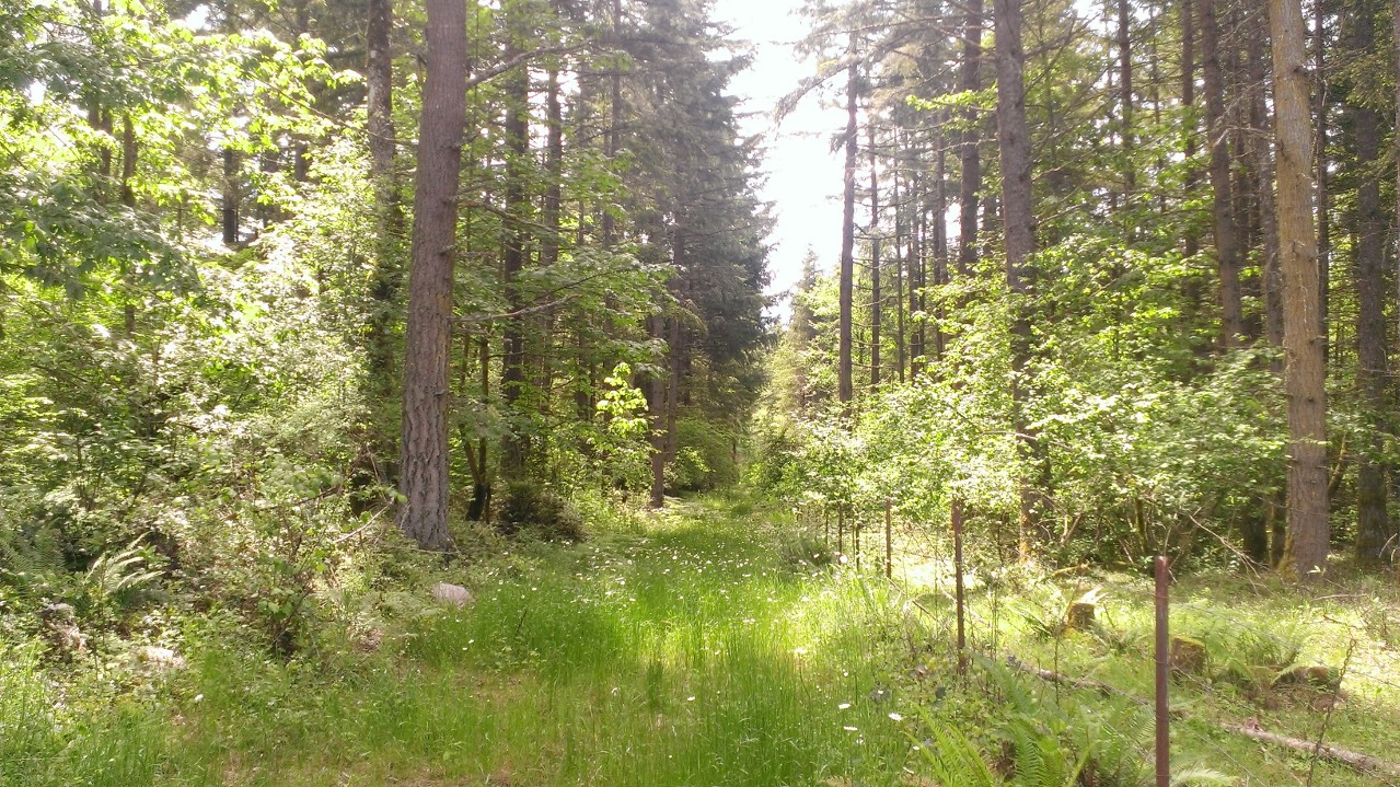 WP_20130605_019.jpg