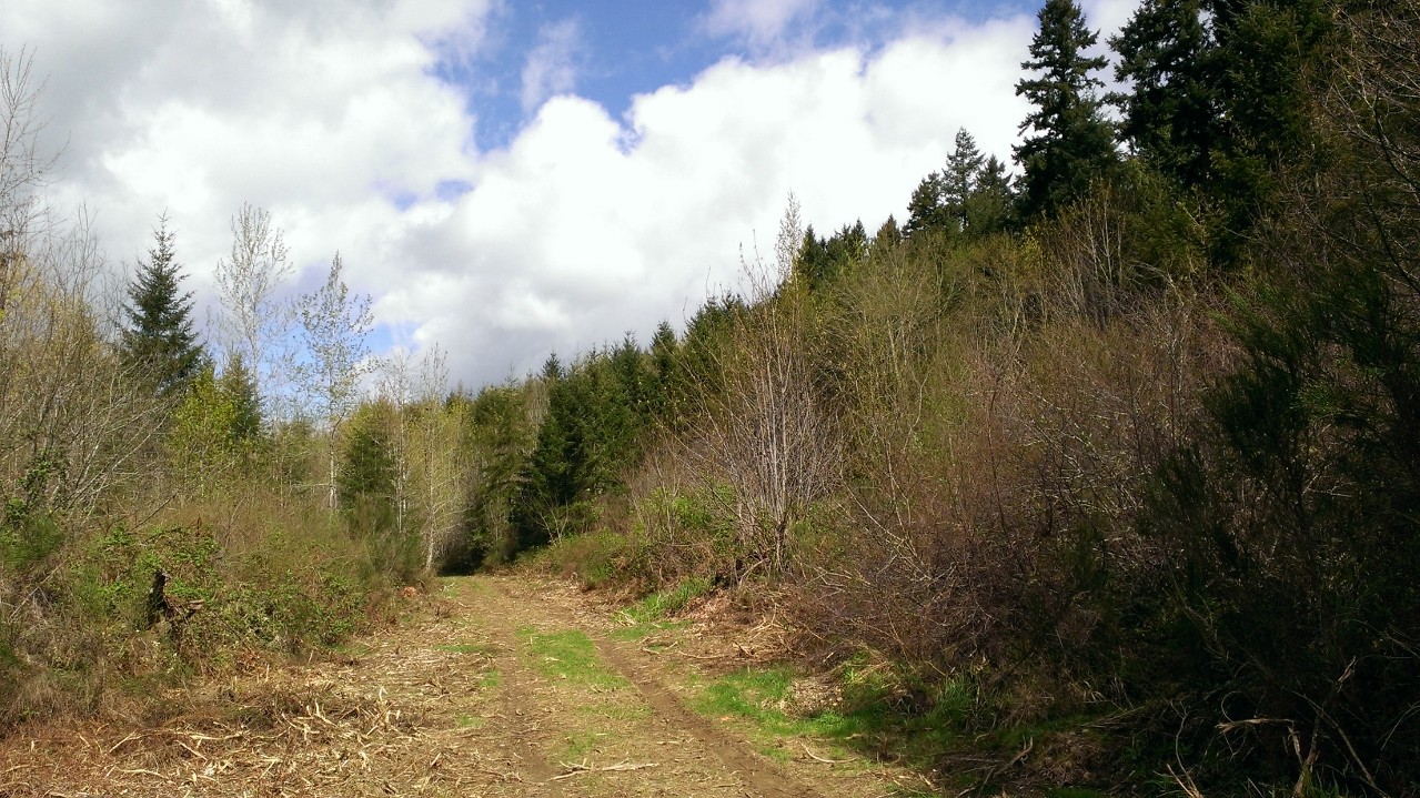 WP_20140409_120.jpg