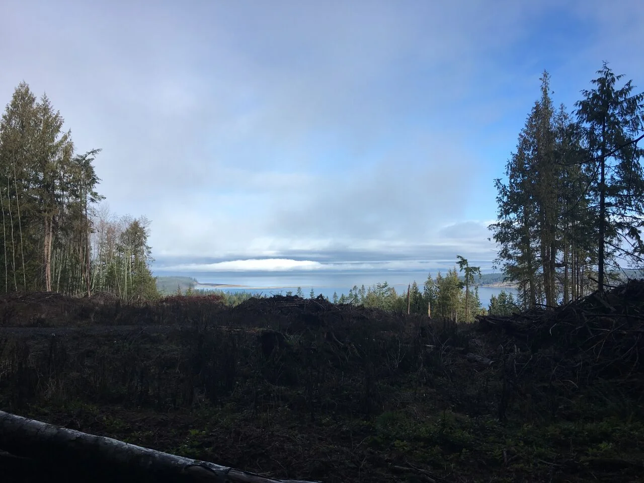 L18008 view 1.jpg