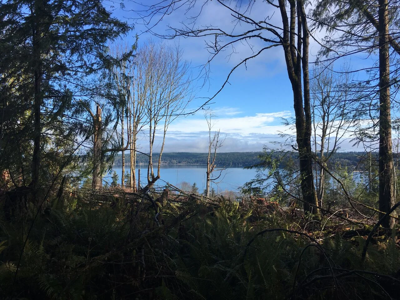 L18008 view 2.jpg