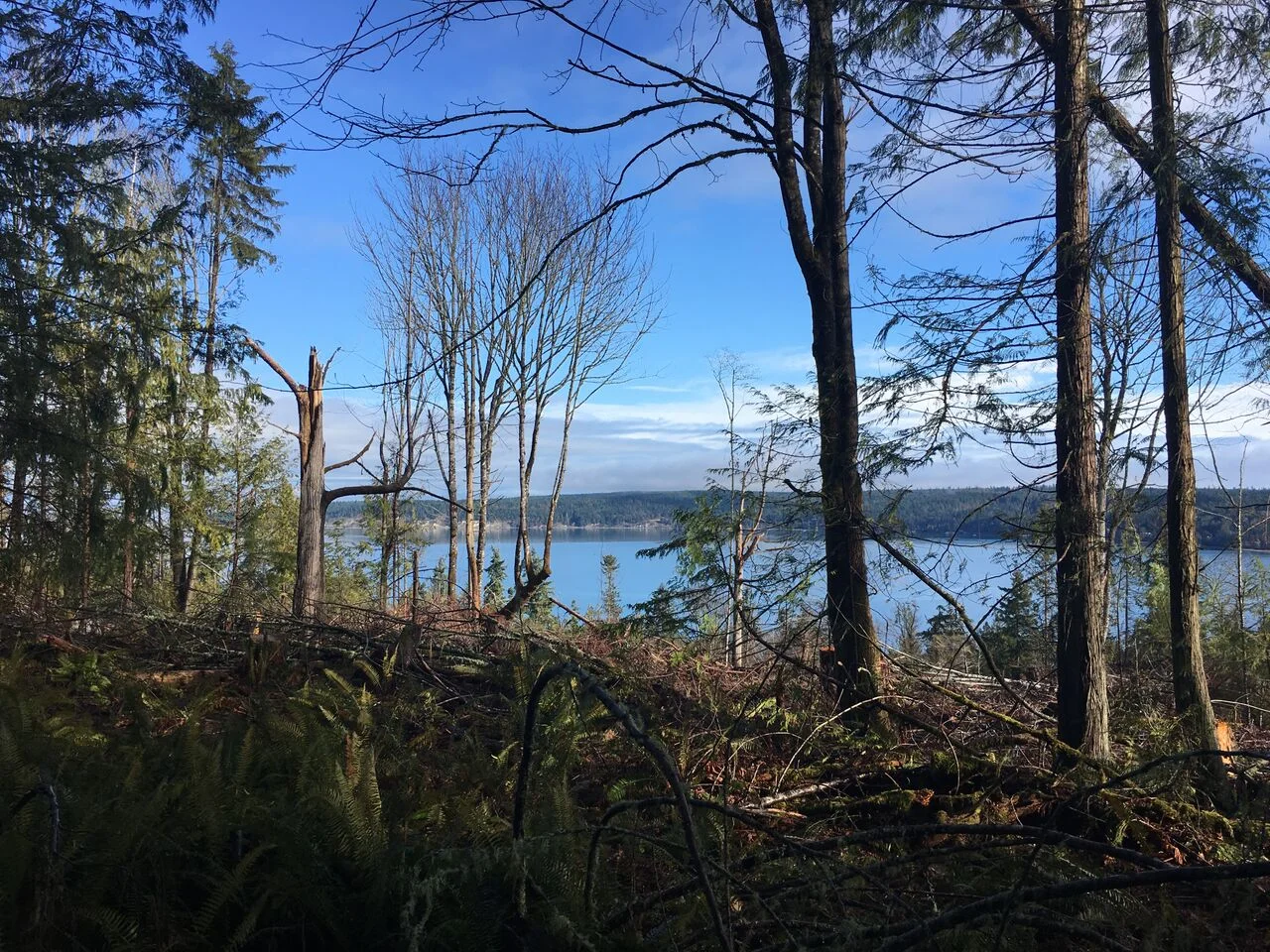 L18008 view 3.jpg