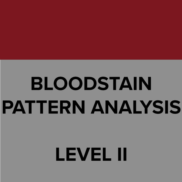 Bloodstain_2.png