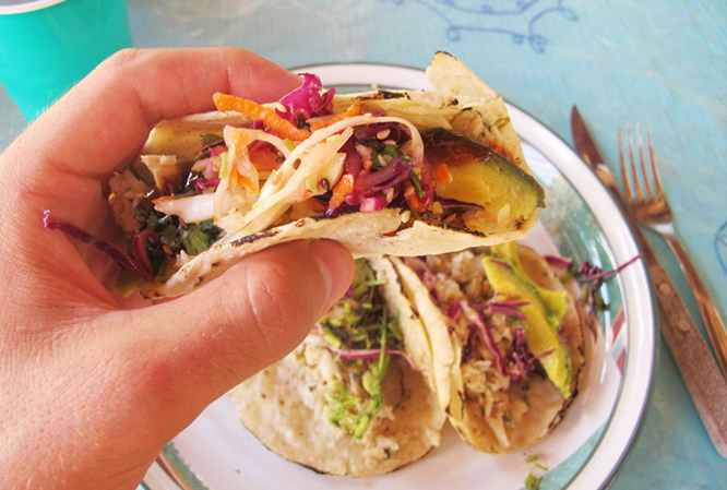Dish Pig – Pick your Poison: Lionfish Tacos in Mexico