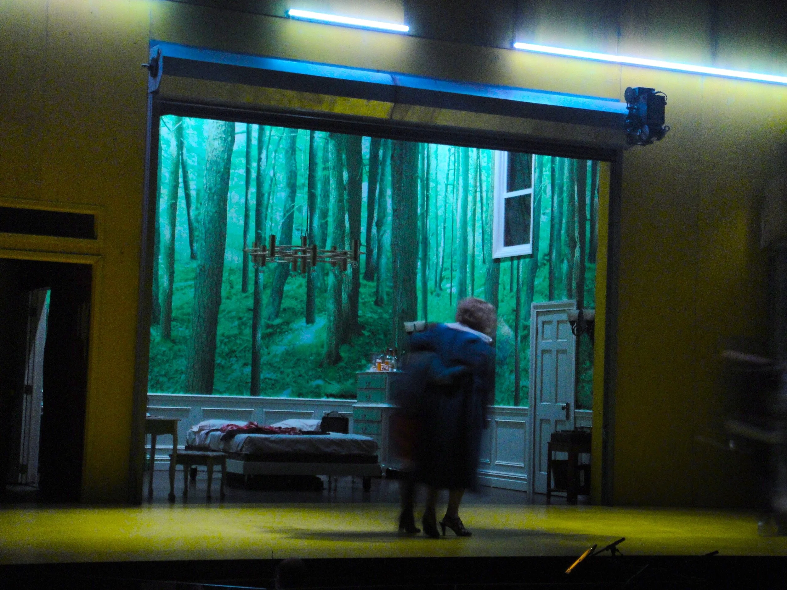 in a year with 13 moons, set and costume design