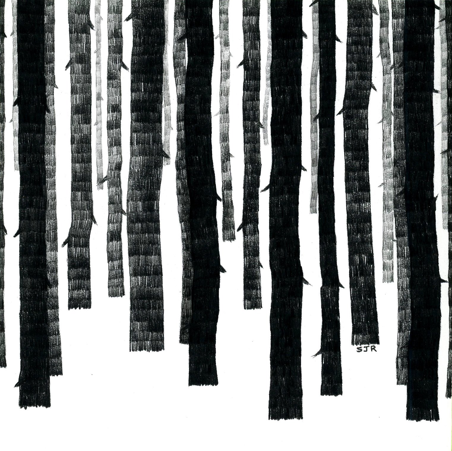 Black Pines II